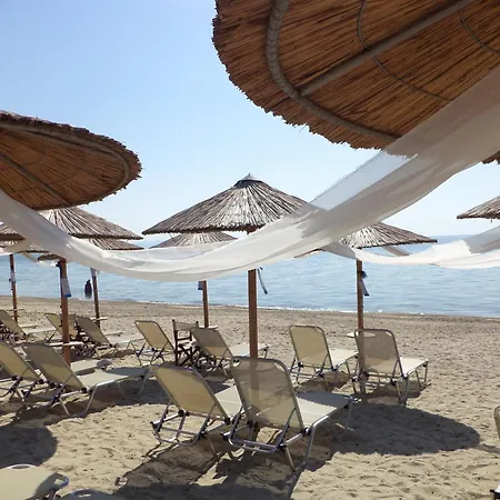 فيلة Assamaris Beachfront House *