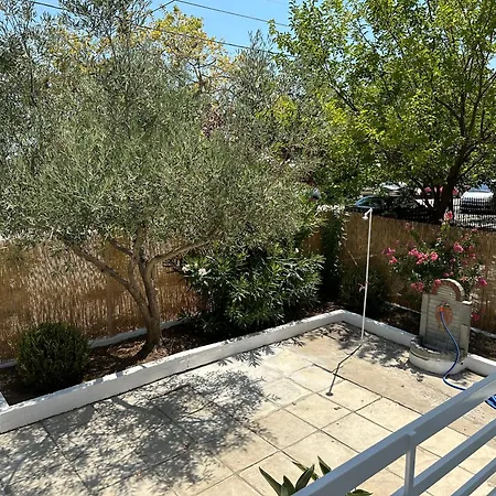 Assamaris Beachfront House *